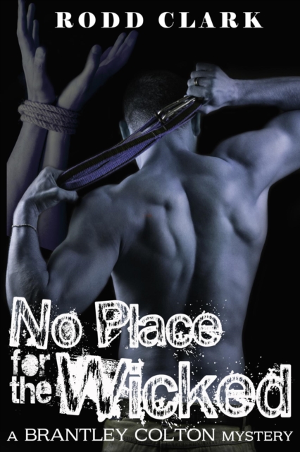No Place for the Wicked - The Brantley Colton Mysteries Book Three