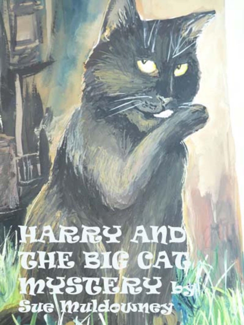 Harry Knight and the Big Cat Mystery