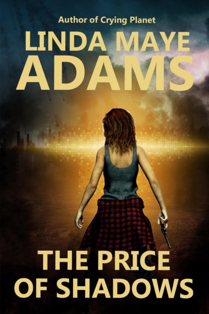 Price of Shadows