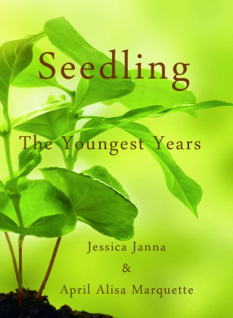 Seedling