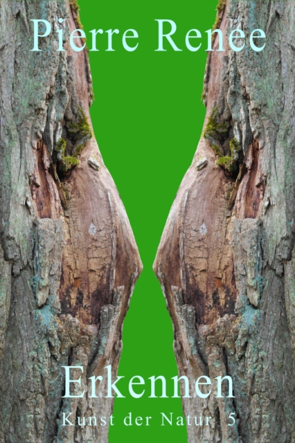 Erkennen (Kunst der Natur 5)