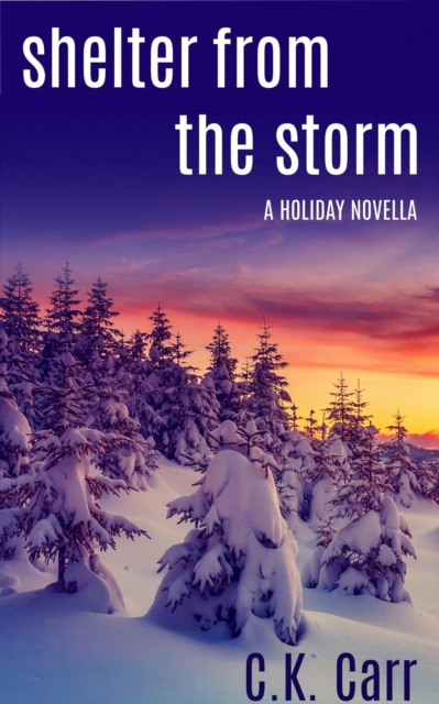 Shelter from the Storm