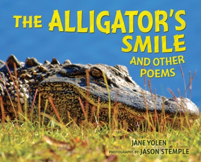 Alligator's Smile