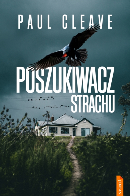 Poszukiwacz strachu