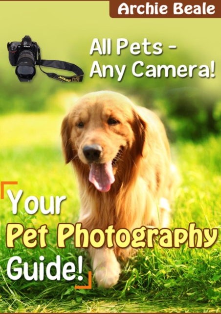 Your Pet Photography Guide