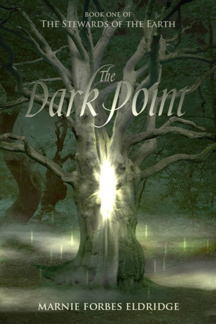 Dark Point