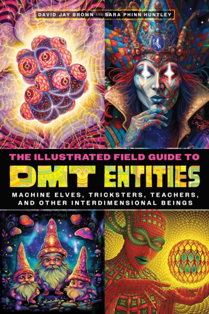 Illustrated Field Guide to DMT Entities