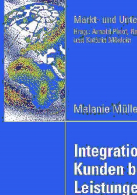 Integrationskompetenz von Kunden bei individuellen Leistungen