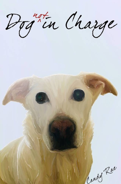Dog Not in Charge