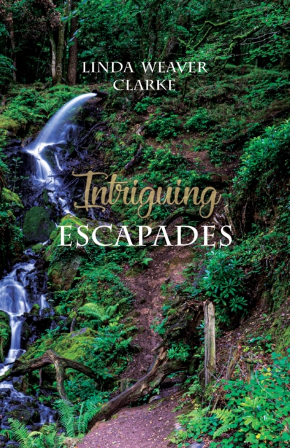 Intriguing Escapades