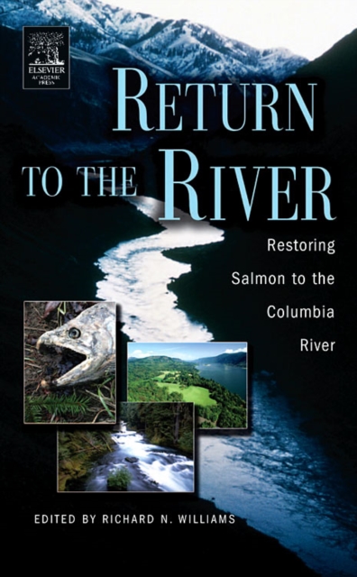 Return to the River