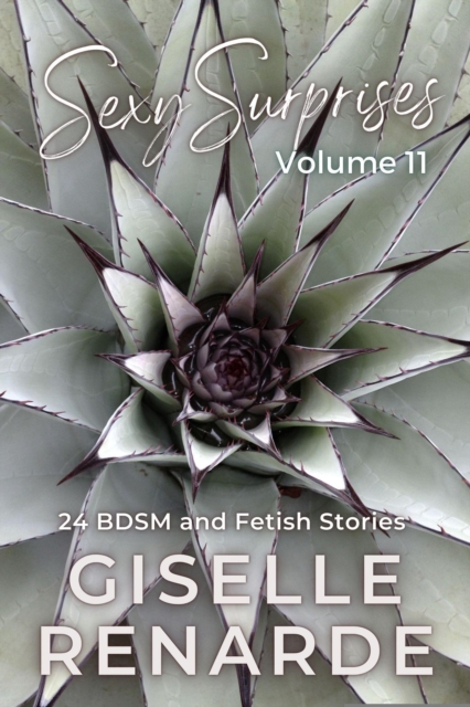 Sexy Surprises Volume 11: 24 BDSM and Fetish Stories