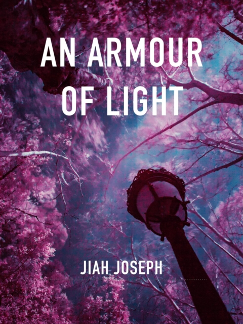 Armour of Light