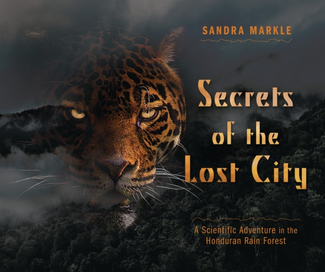 Secrets of the Lost City