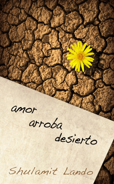 Amor arroba desierto