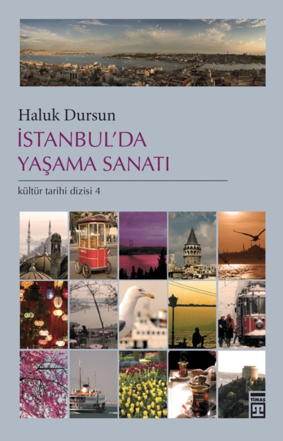Istanbul'da Yasama SanatA 
