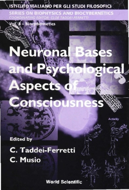 Neuronal Bases And Psychological Aspects Of Consciousness - Proceedings Of The International School Of Biocybernetics