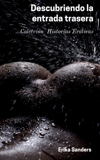 Descubriendo la entrada trasera