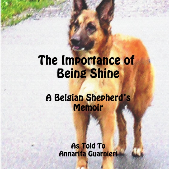 Importance of Being Shine