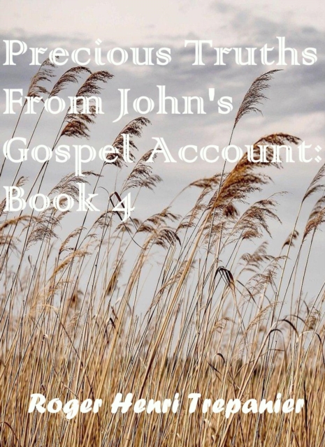 Precious Truths From John's Gospel Account: Book 4
