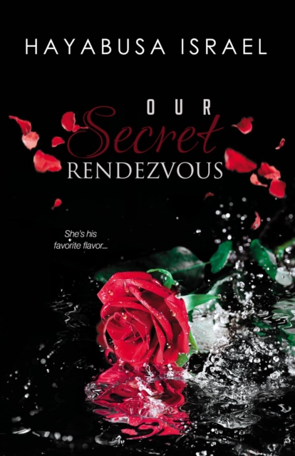 Our Secret Rendezvous (The Secret Series Book 2)