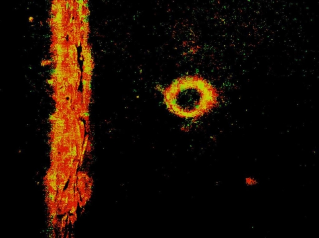 Orangel: The Orange Angel