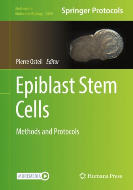 Epiblast Stem Cells