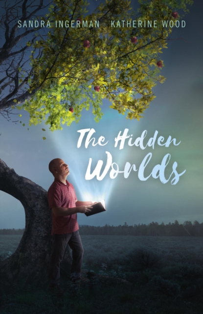 Hidden Worlds