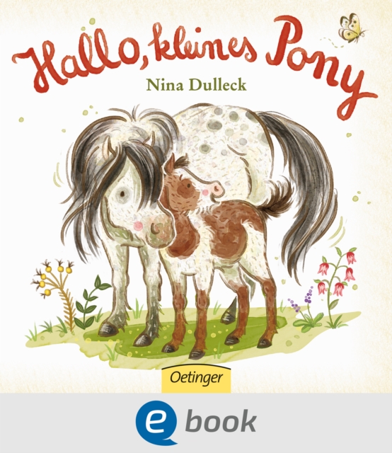 Hallo, kleines Pony!