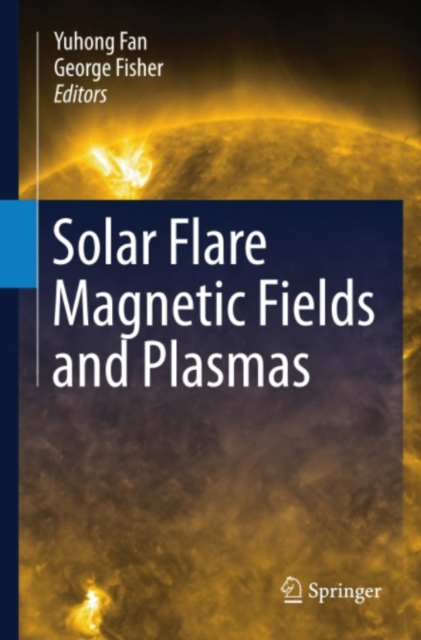 Solar Flare Magnetic Fields and Plasmas