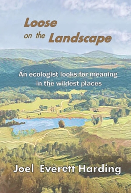 Loose on the Landscape