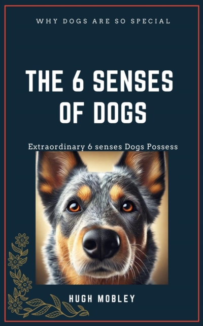 6 Senses of dogs