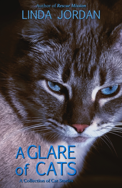 Glare of Cats: A Collection of Cat Stories