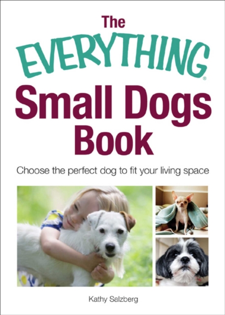 Everything Small Dogs Book