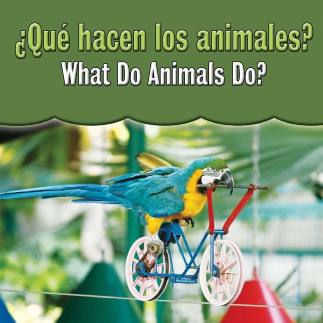 Que hacen los animales?