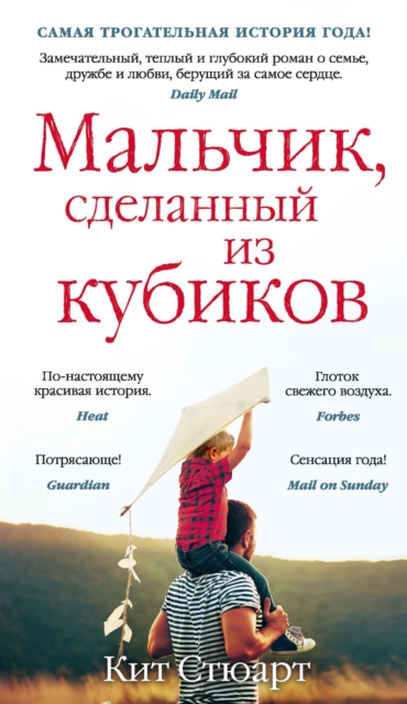 A BOY MADE OF BLOCKS