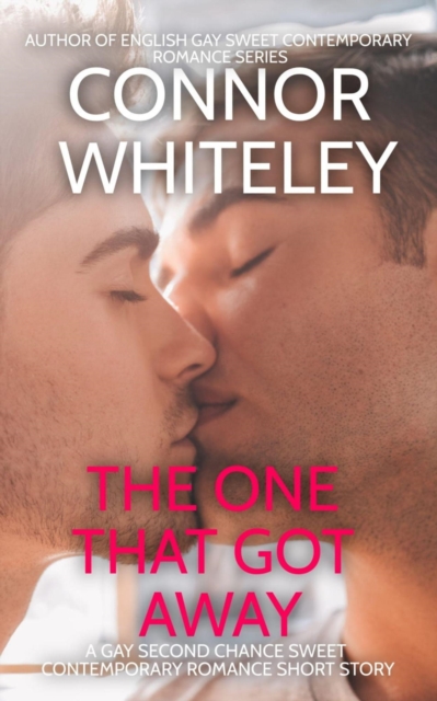 One That Got Away: A Gay Second Chance Sweet Contemporary Romance Short Story