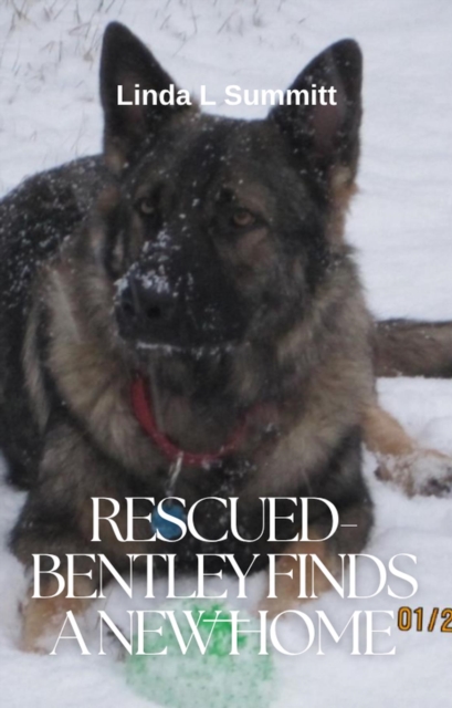 Bentley: Sentinel of the Heart