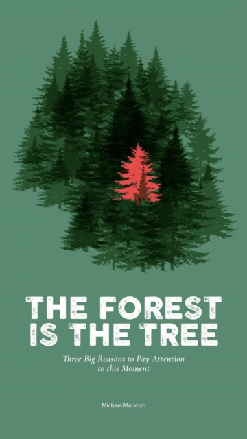 Forest is the Tree: Three Big Reasons to Pay Attention to this Moment