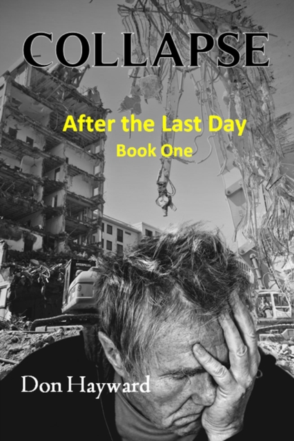 Collapse:  After the Last Day Book One