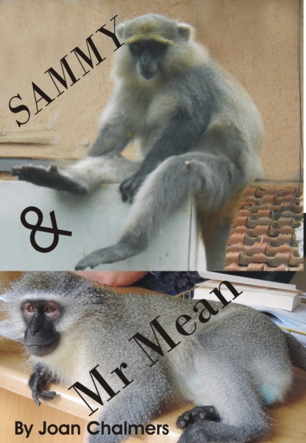 Sammy and Mr Mean
