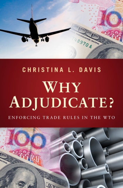 Why Adjudicate?