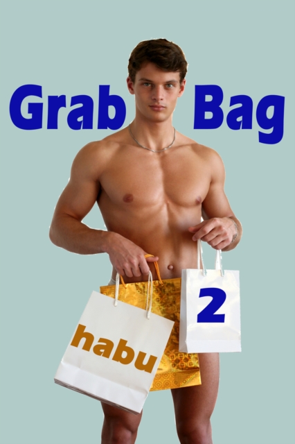 Grab Bag 2 (A Gay Erotica Anthology)