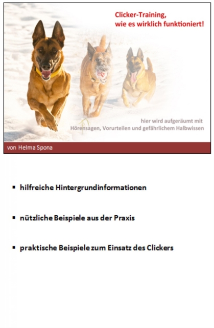 Clicker-Training, wie es wirklich funktioniert