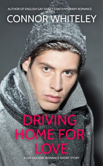 Driving Home For Love: A Gay Holiday Romance Short Story
