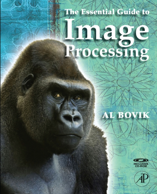 Essential Guide to Image Processing