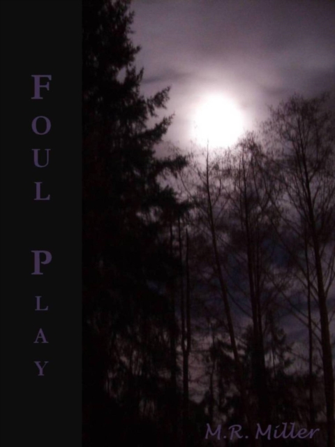 Foul Play (An Emily O'Brien novel #3)