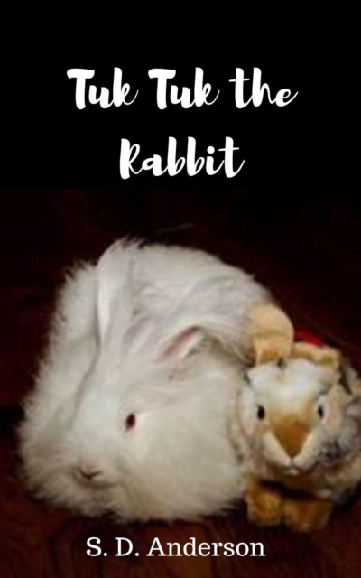 Tuk-Tuk the Rabbit