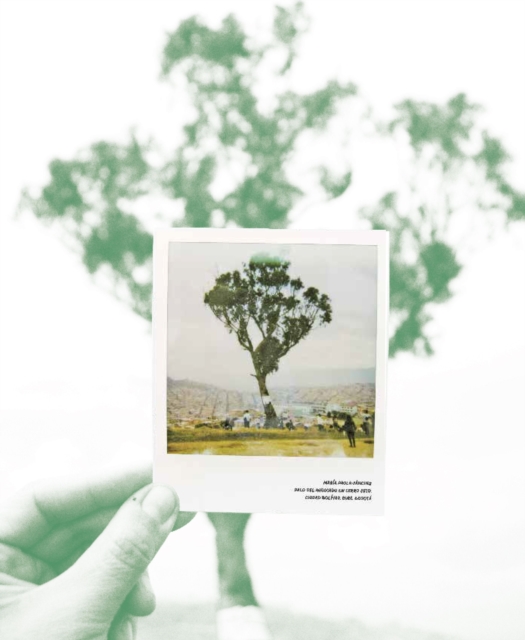 El Palo del Ahorcado. 