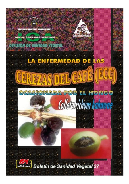 Enfermedad de las cerezas del café (CBD) ocasionada por el hongo Colletotrichum kahawae, La
